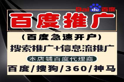 百度SEM推广策略：成功案例解析